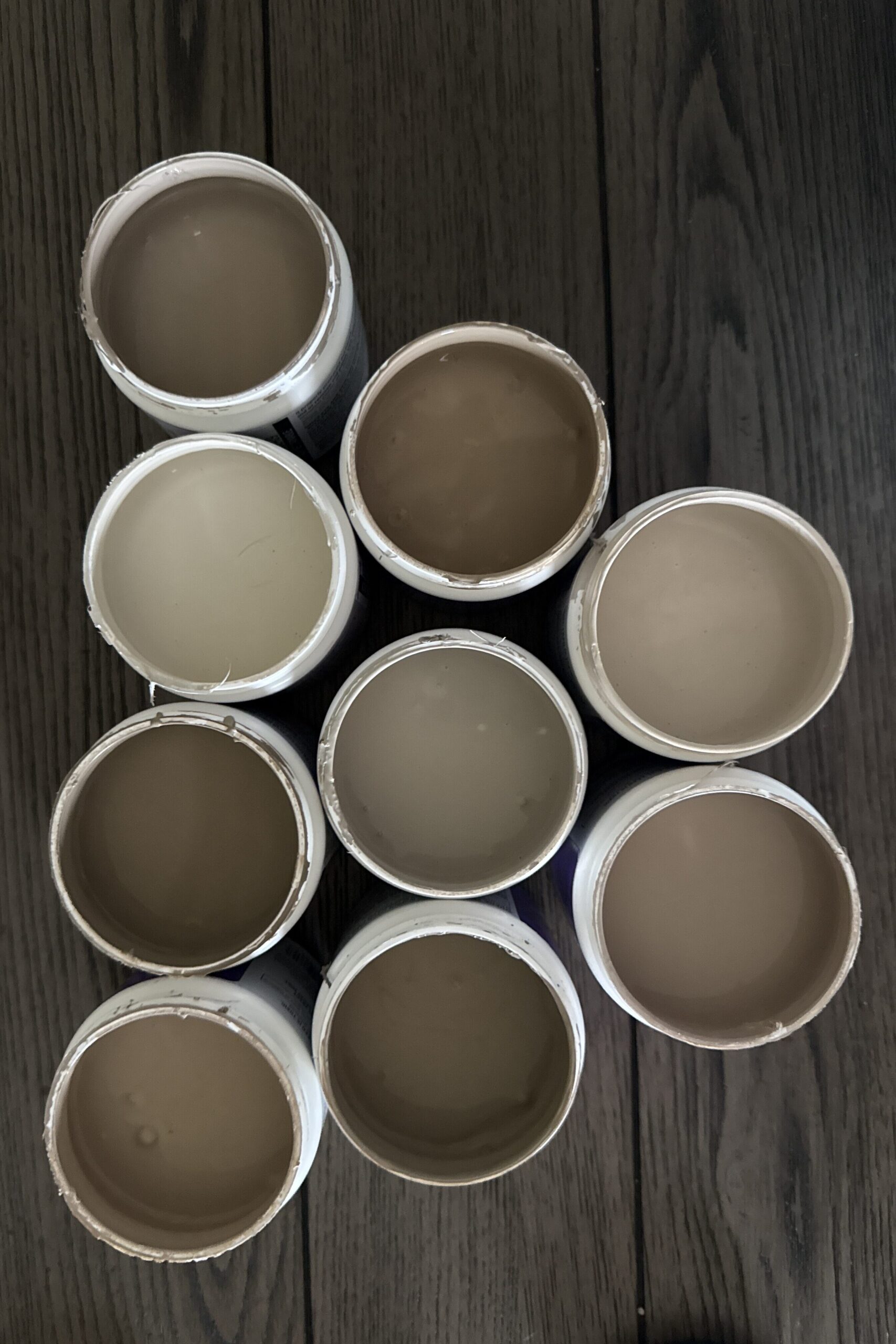Earthy Paint Samples 