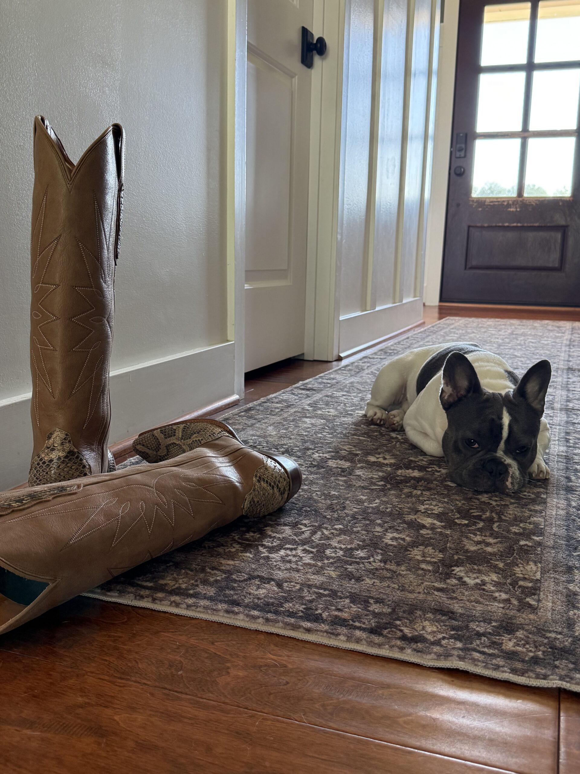 Boots and a Frenchie